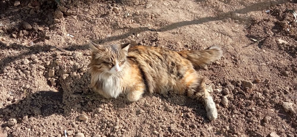 Фотография автора Mahdi Mohammadi