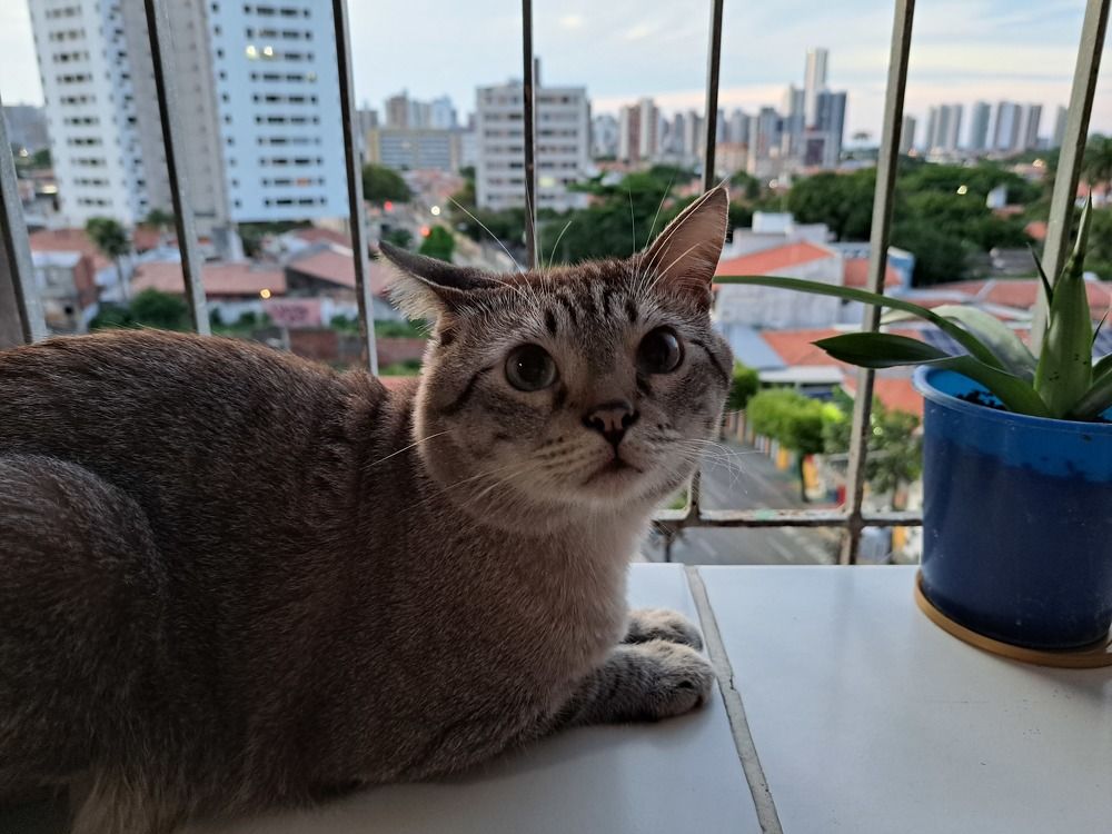 Photograph by Flávio Cavalcante