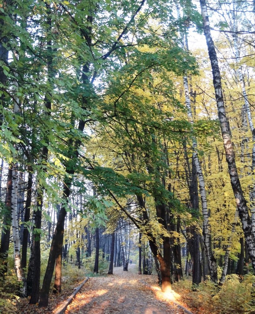 Photograph by Александр Евреинов