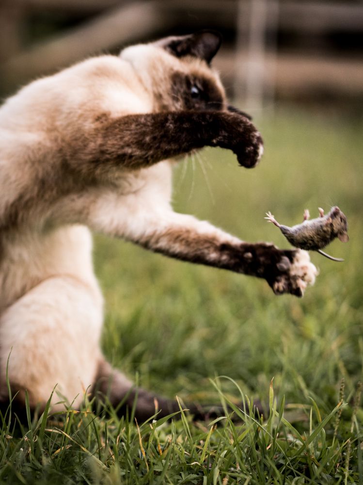 Photograph by Виктория Беник