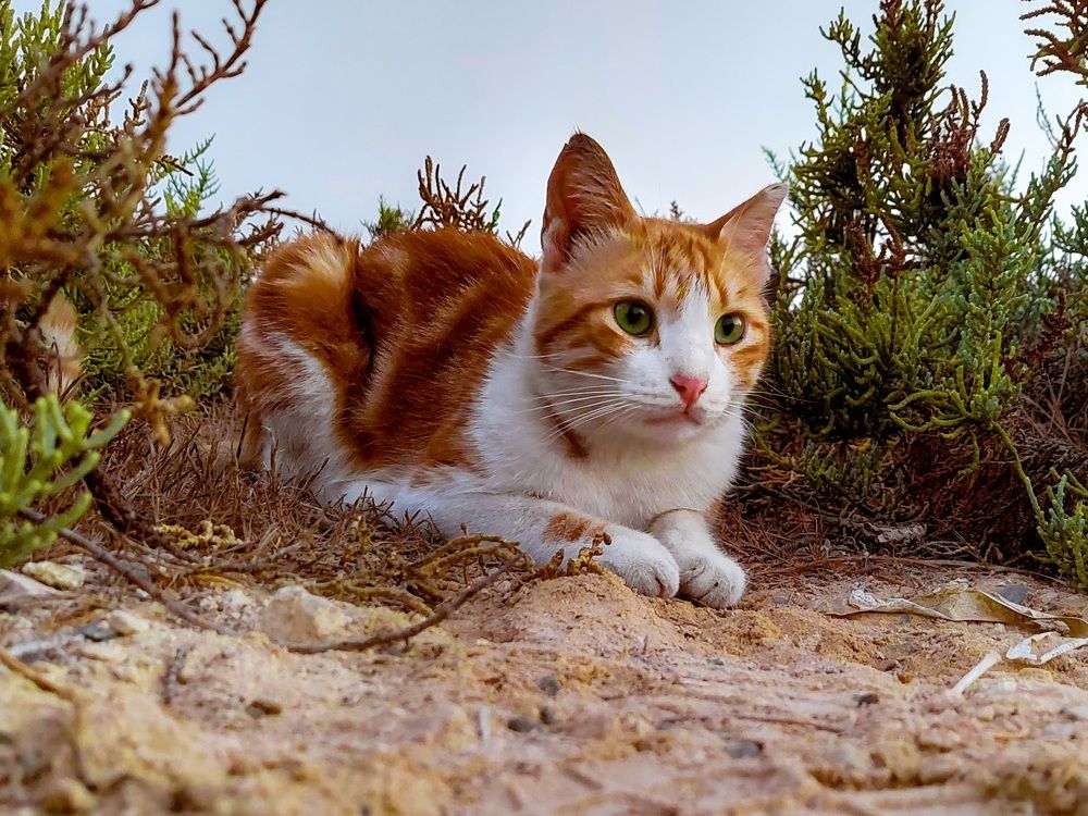 Photograph by Diana-Alexandra Amărinei