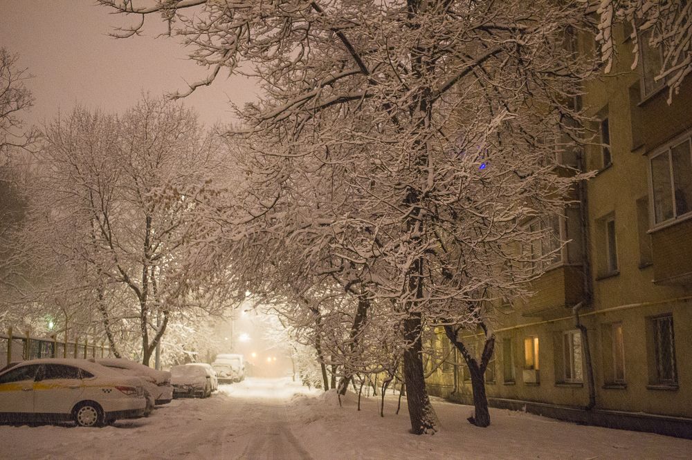 Photograph by Елена Шахова