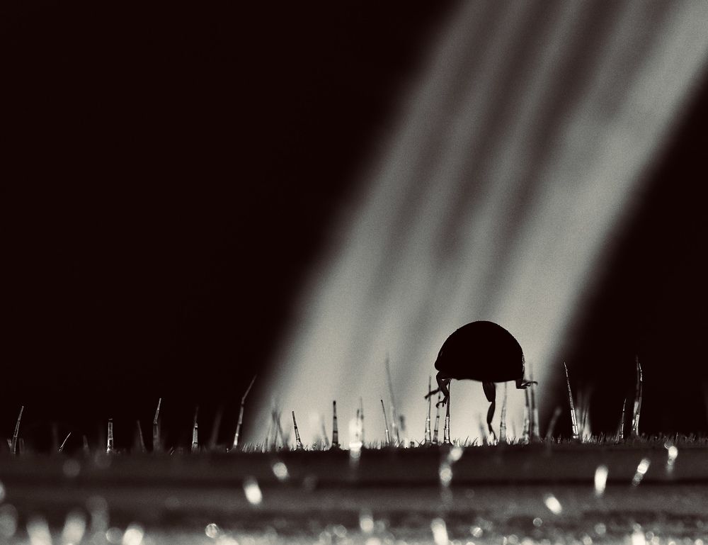 Photograph by Малика Маткарим