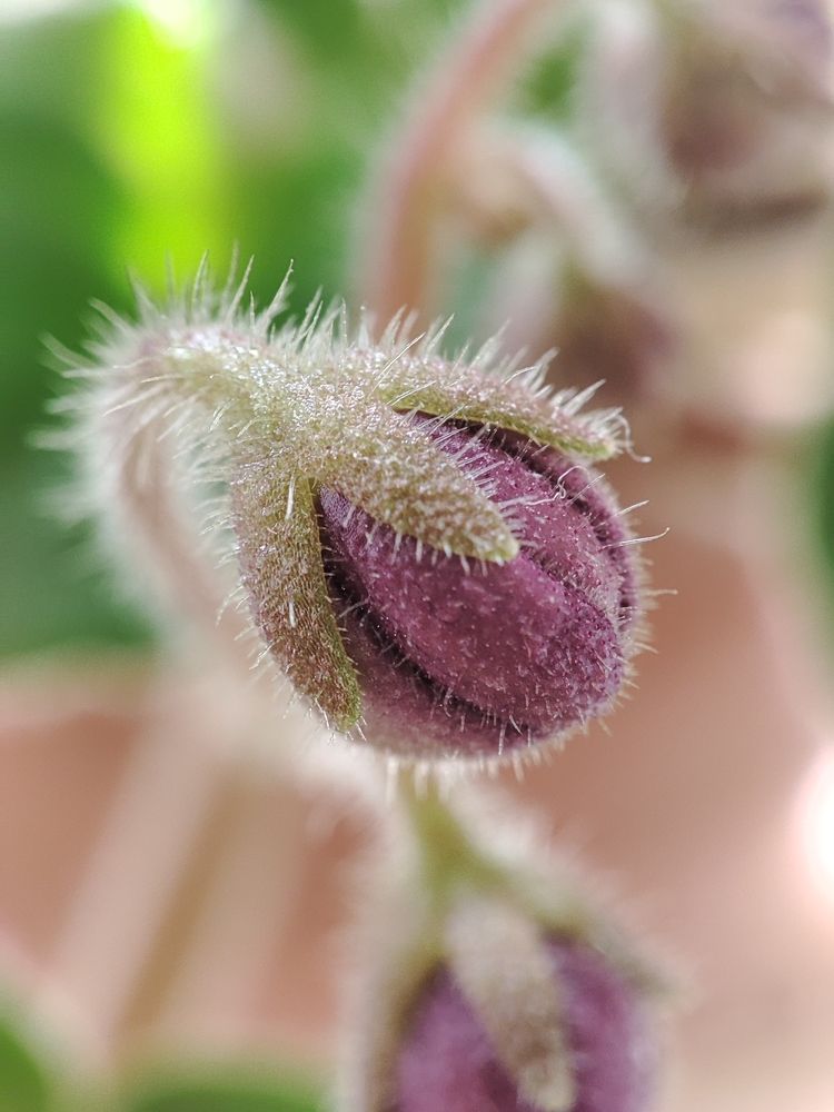 Photograph by ValentinaK