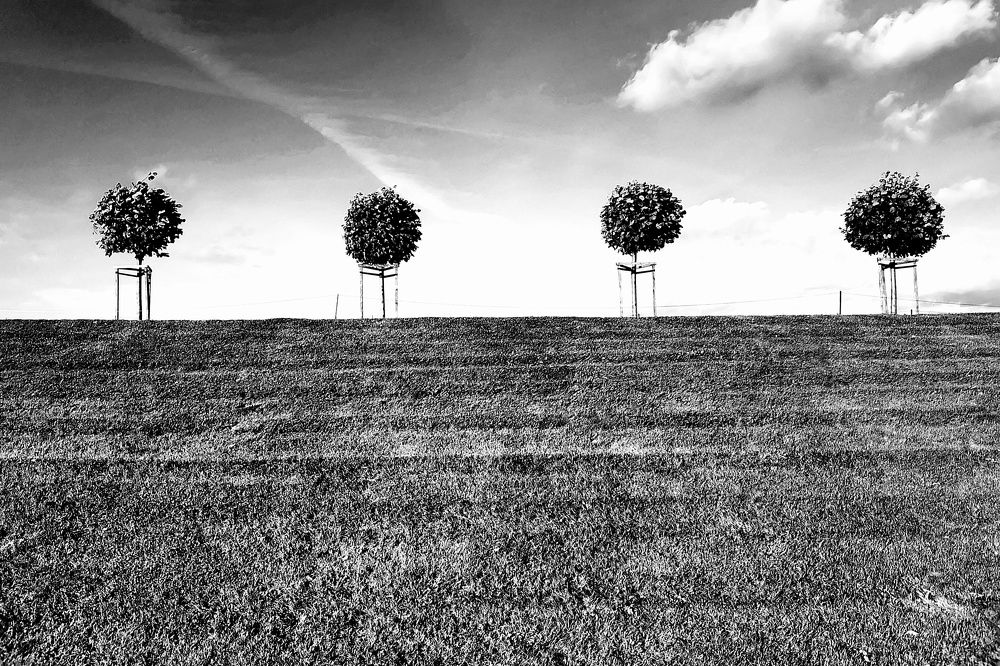 Photograph by Aljona Dyachenko