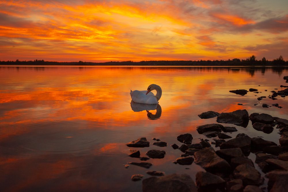 Photograph by Павел Невенчаный