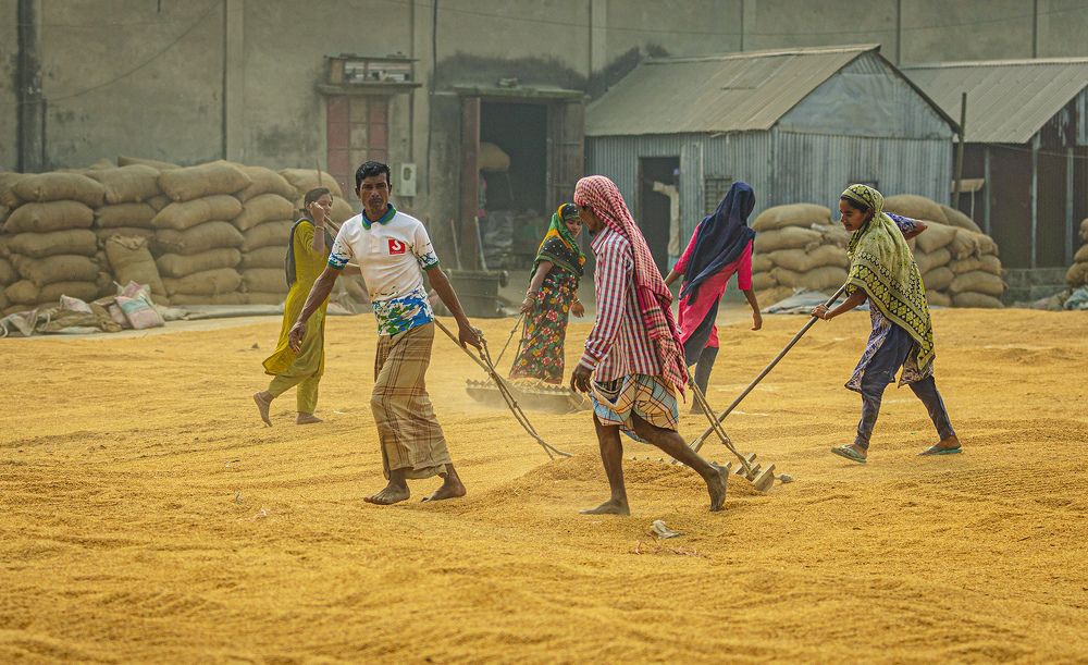 Photograph by Badal Chandra Sarker