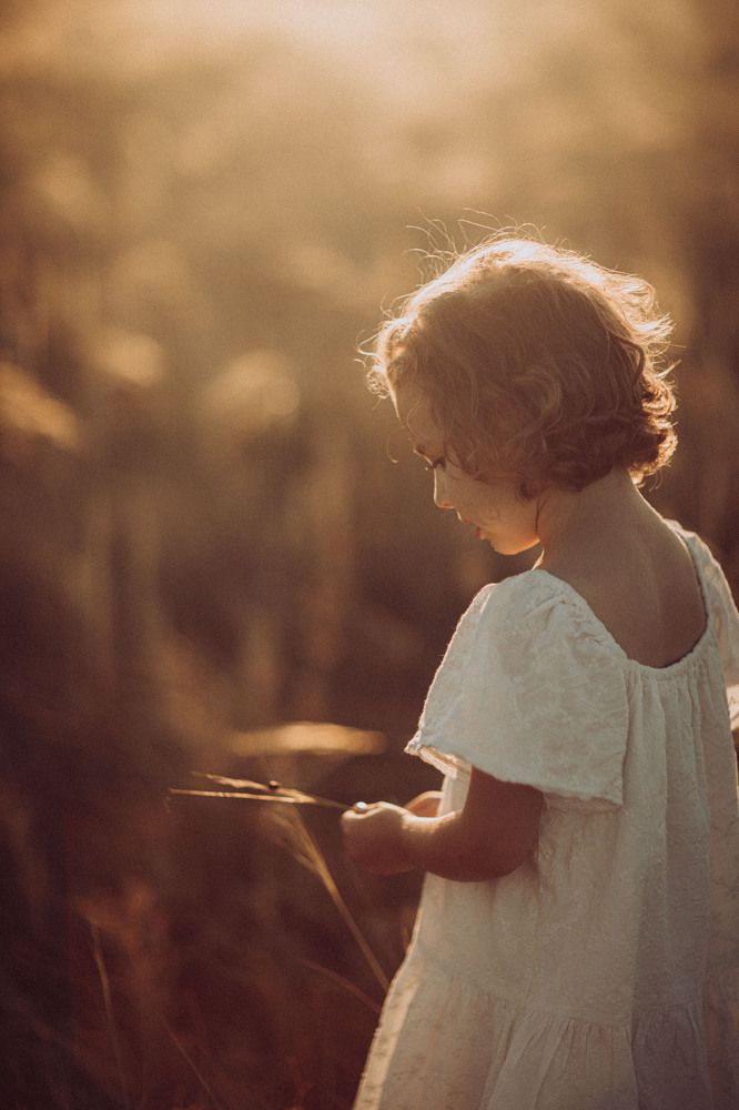 «Божья коровка»