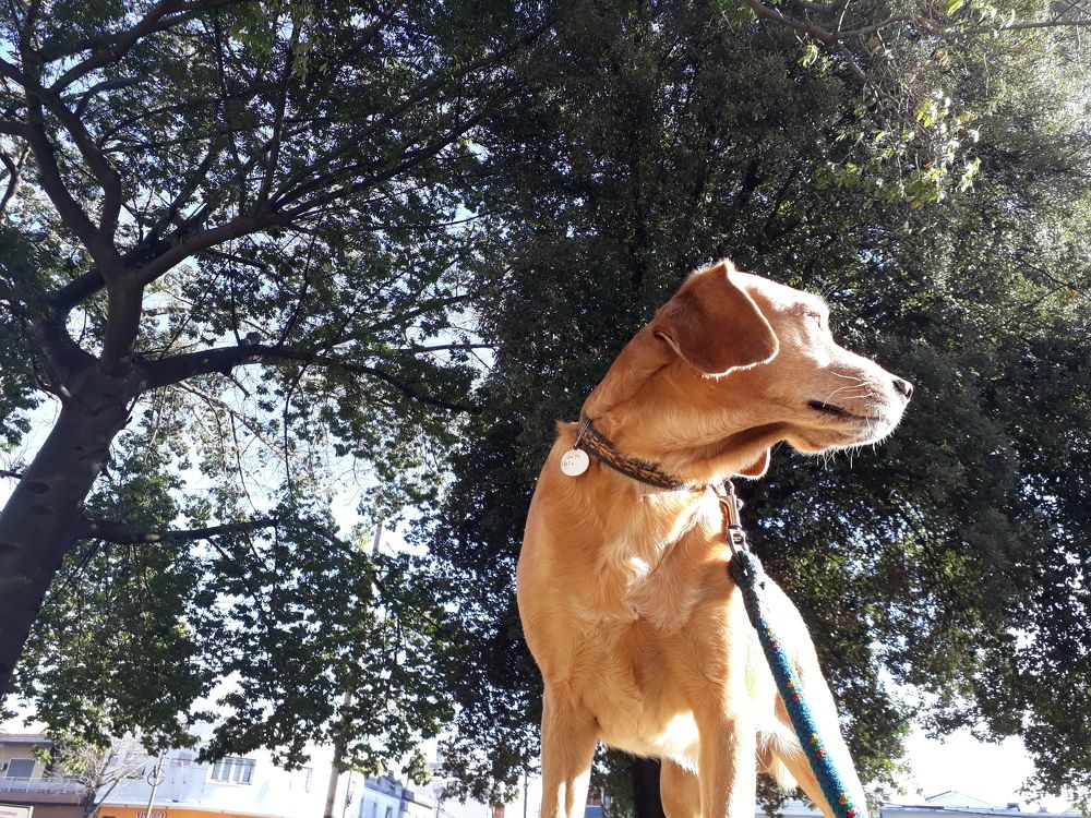 Photograph by matias garcia