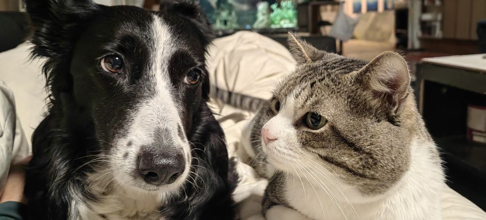 Photograph by Lander