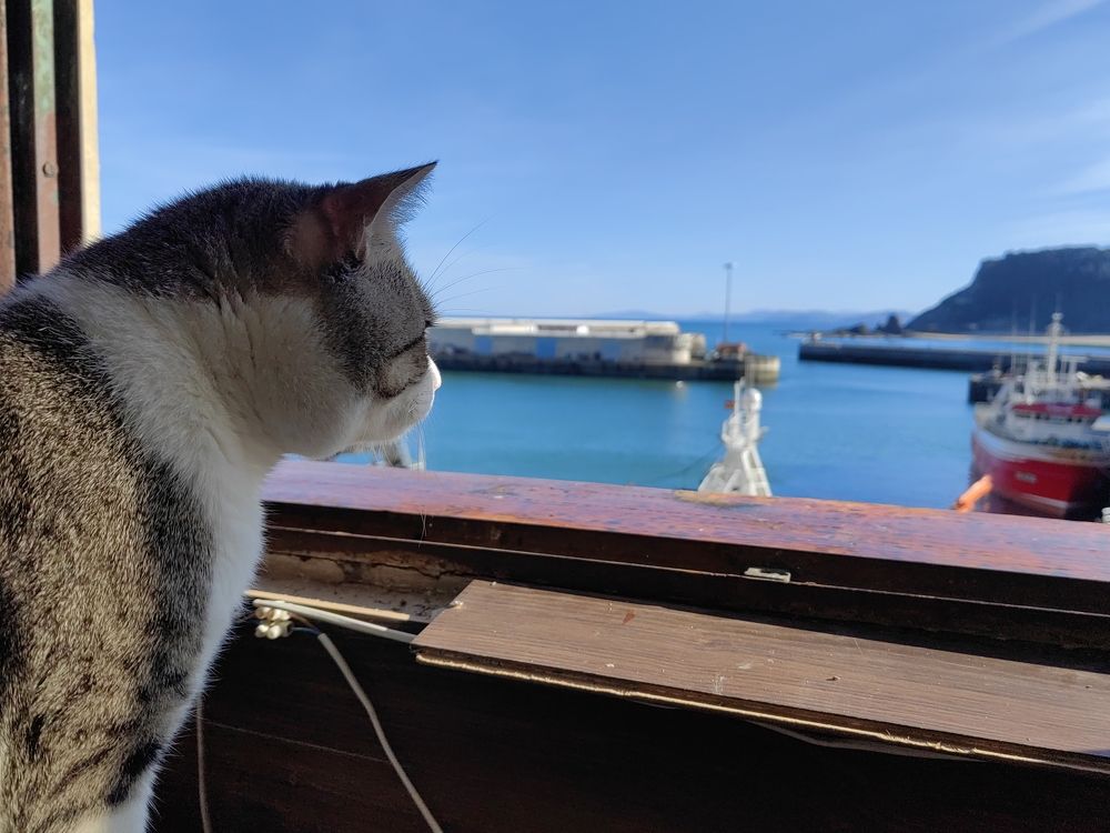 Photograph by Lander