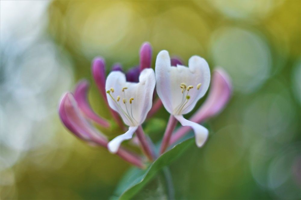 Фотография автора Tkachev Aleksey