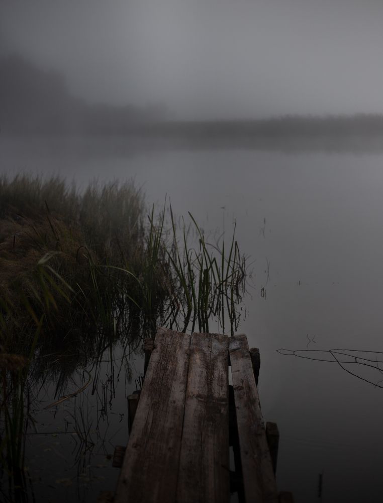 Photograph by Елена Фокина