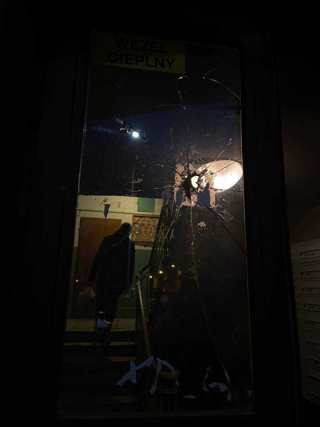 Photo #8920903