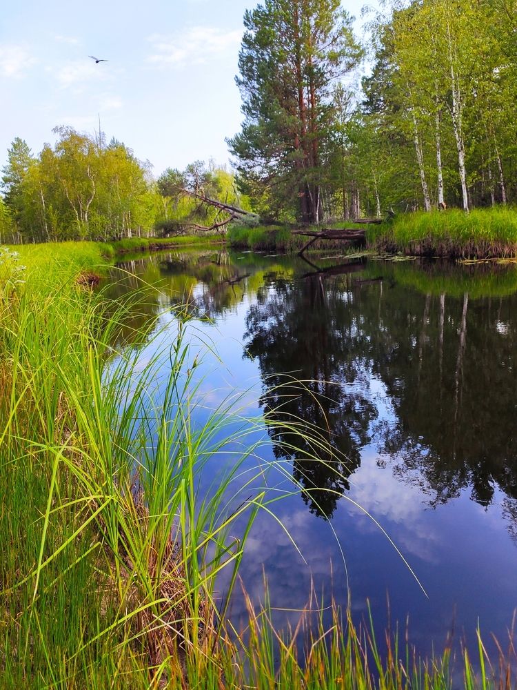 Photograph by Оксана Радзиевская