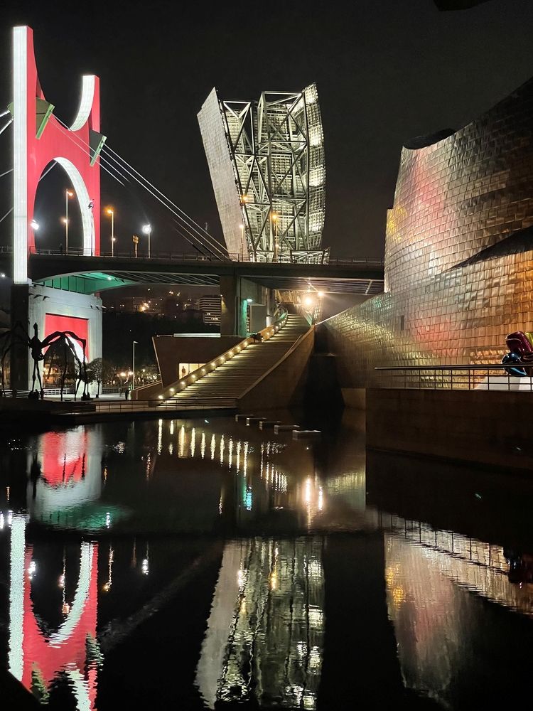 Museo Guggenheim Bilbao03