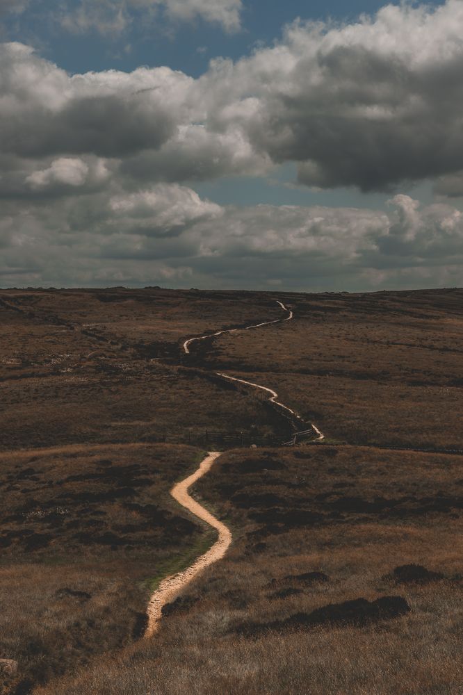 Photograph by Shourya Dadhich