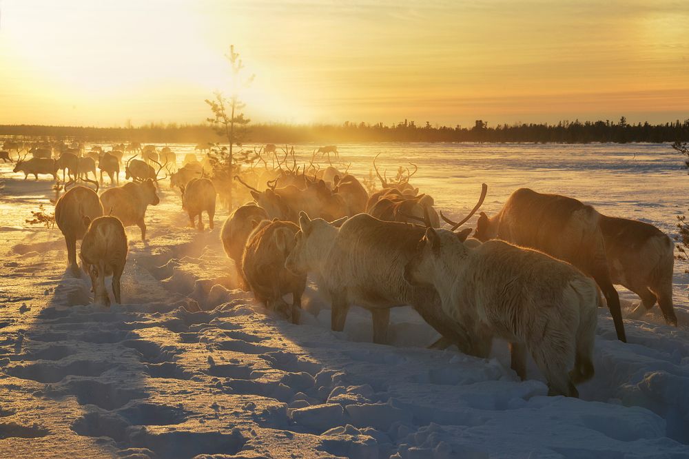 Фотография автора Екатерина Григорьева