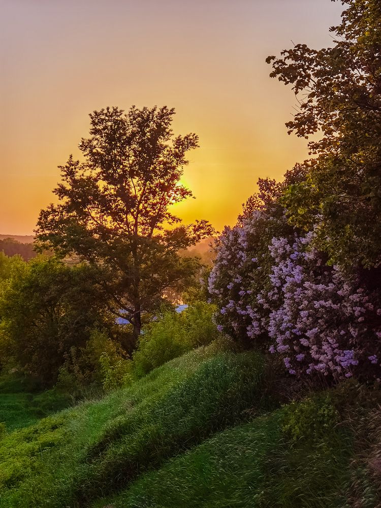 Photograph by Михаил Смирнов