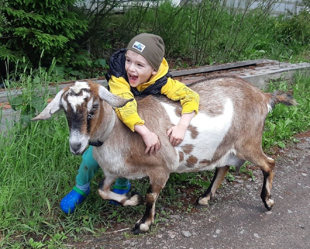 Фотография автора Ольга Павлова