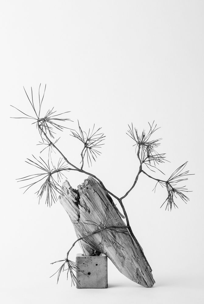 Photograph by Ольга Козлова