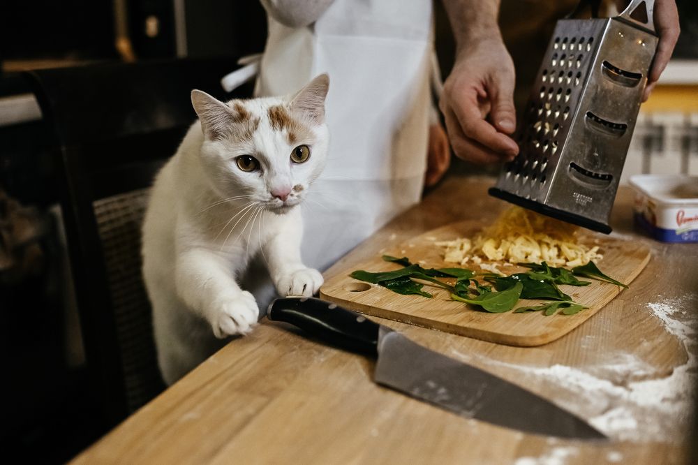 Photograph by Kate Blum