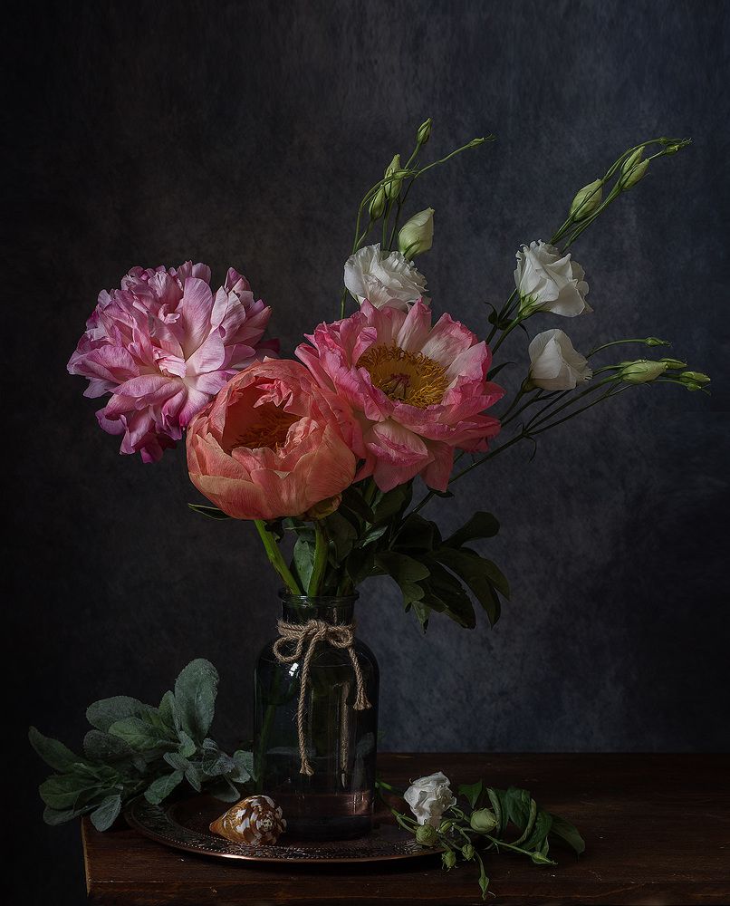 Фотография автора Алина Ланкина