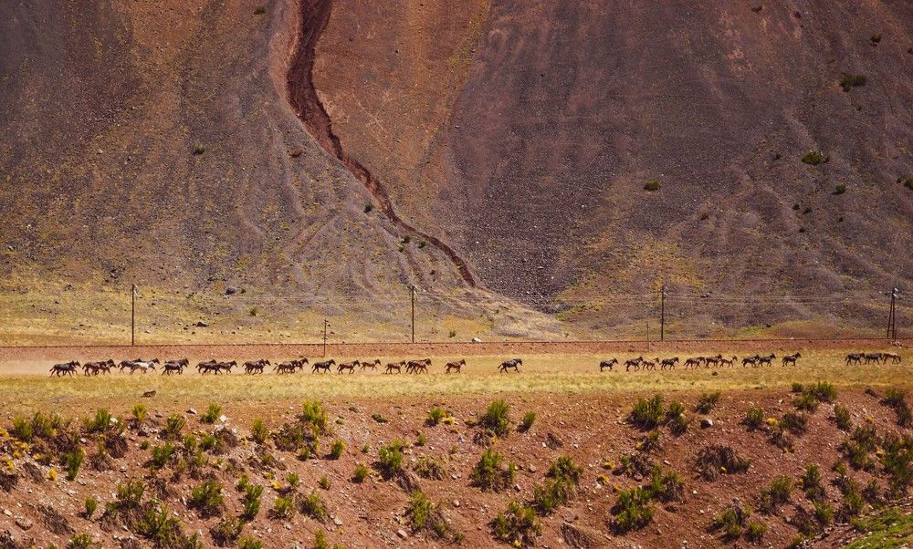 Photograph by Valeriy