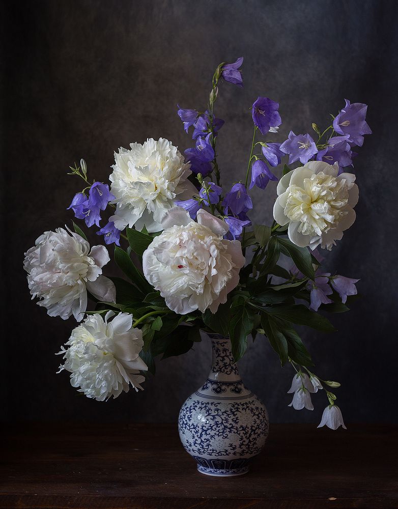 Фотография автора Алина Ланкина