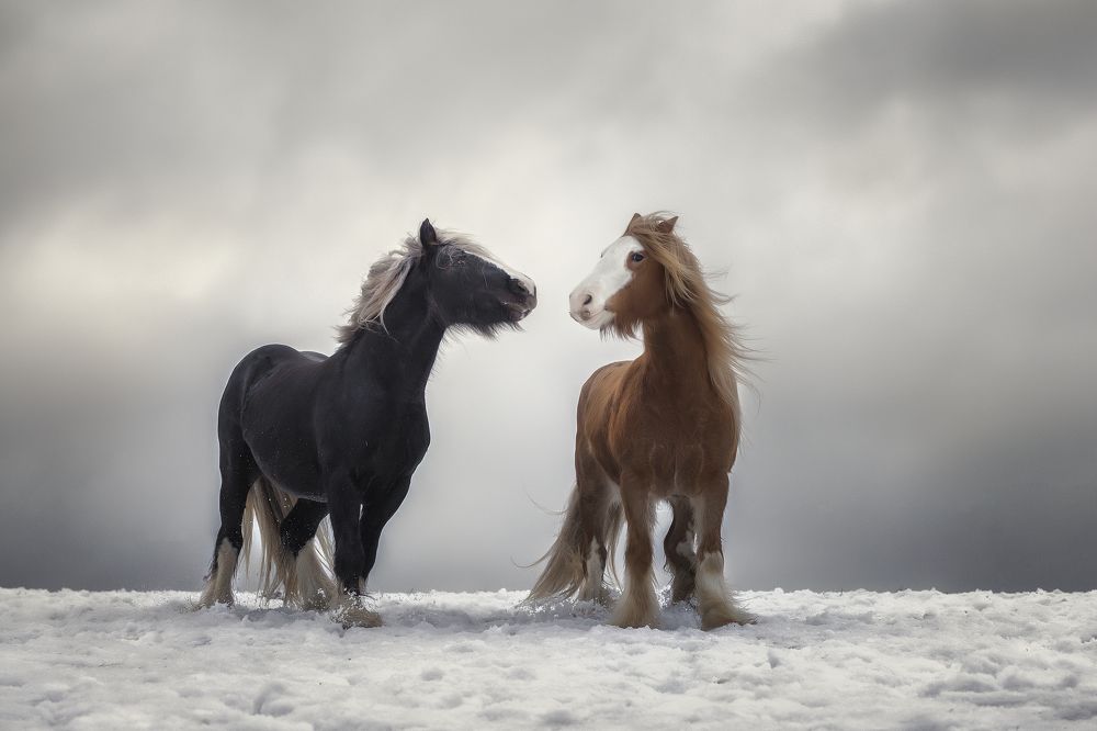 Photograph by Tetyana Vysochanska