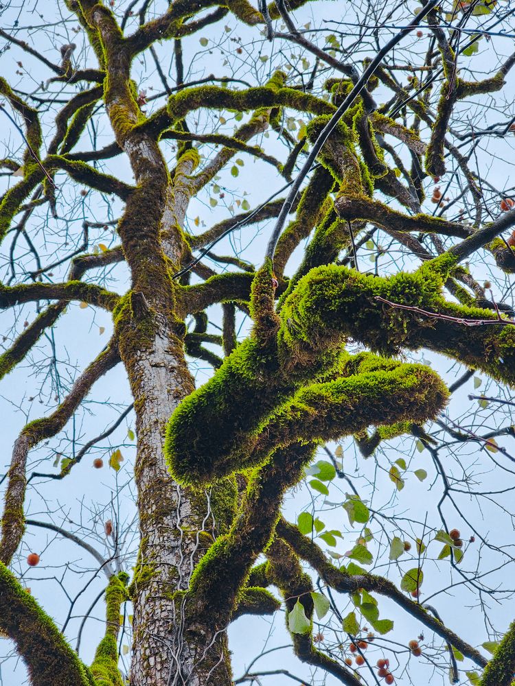 Photograph by Islam Mirsaitov