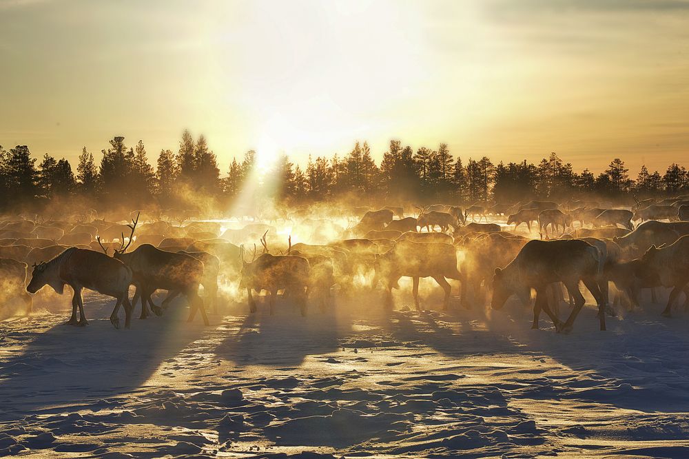 Фотография автора Екатерина Григорьева