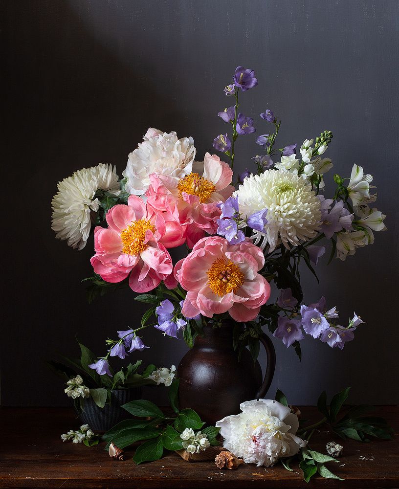 Фотография автора Алина Ланкина