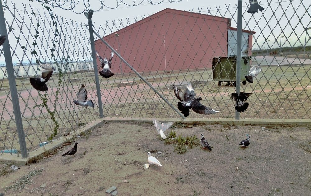 Photograph by Elísio Capitão