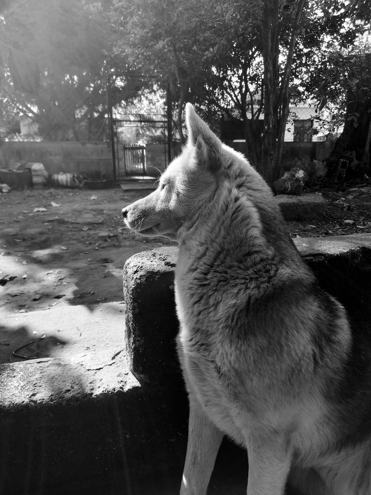 Photograph by Mavelyn
