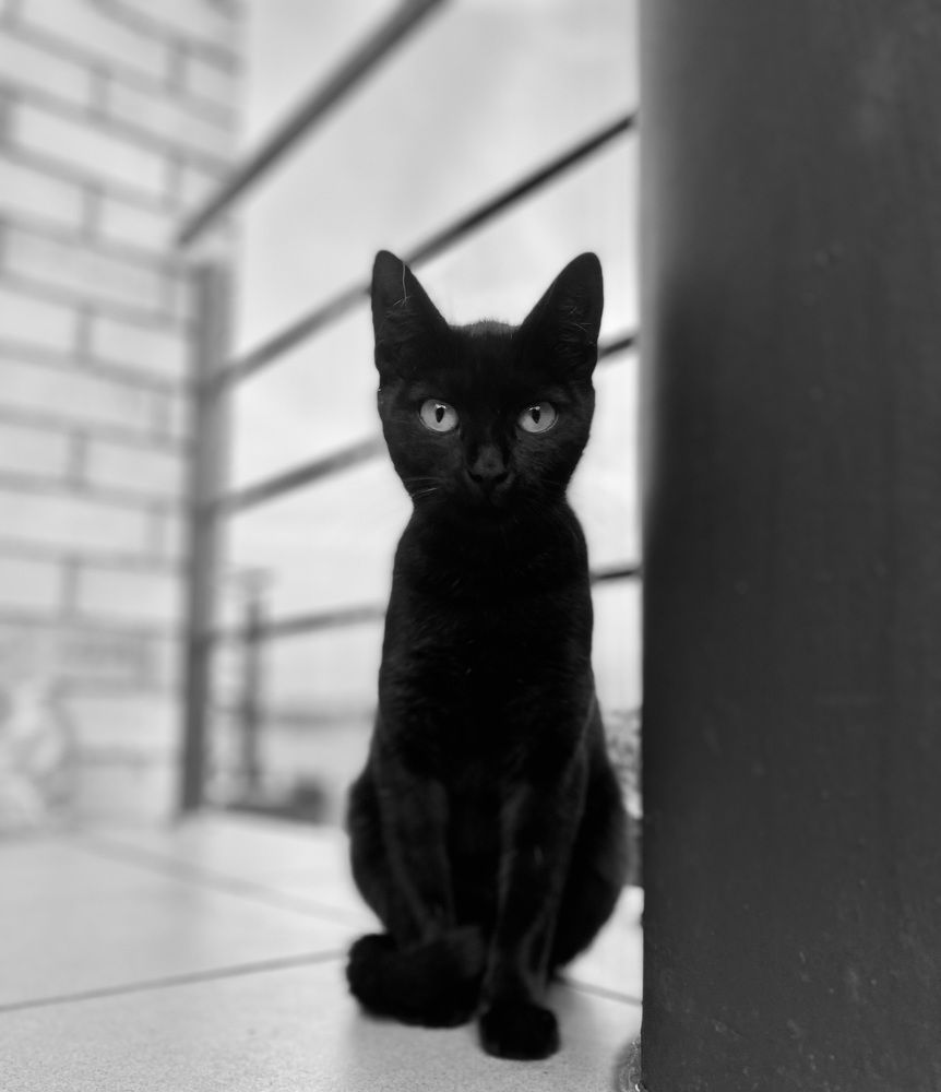 Photograph by Laura Simanaviciute