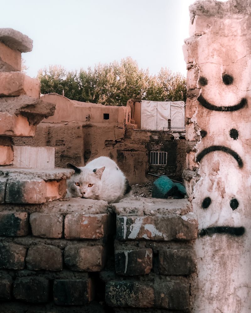 Фотография автора elyas khaghani elyas.ph