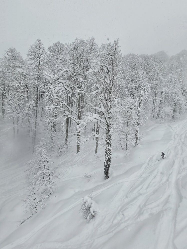 Photograph by Екатерина Золотых