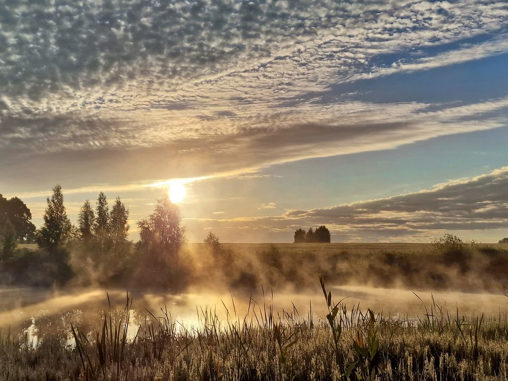 Photograph by Филипп Григорьев