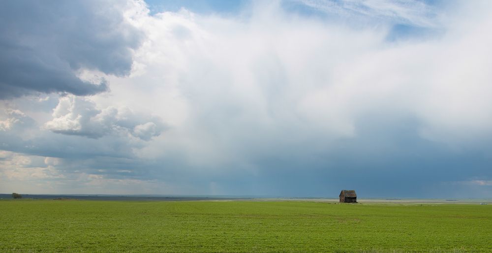 Photograph by Michael Latman