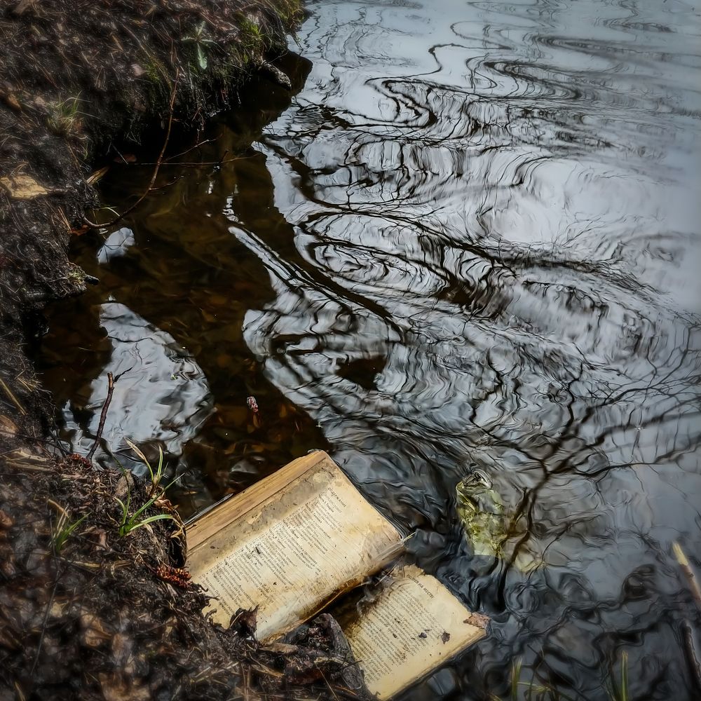 Photograph by Samuel