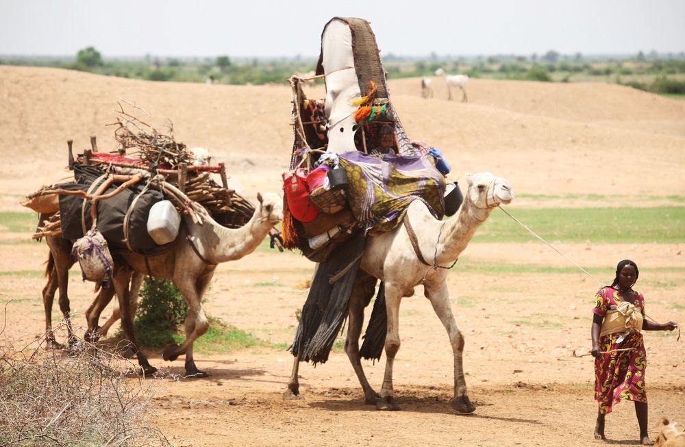 حياة البادية