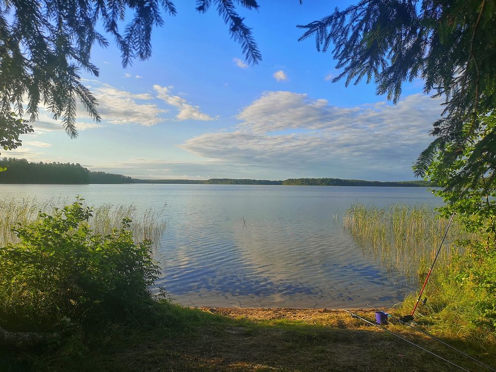 Photograph by Екатерина Борисовна Кузьмина