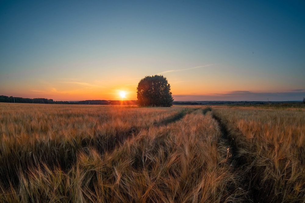 Photograph by Михаил Магазеев