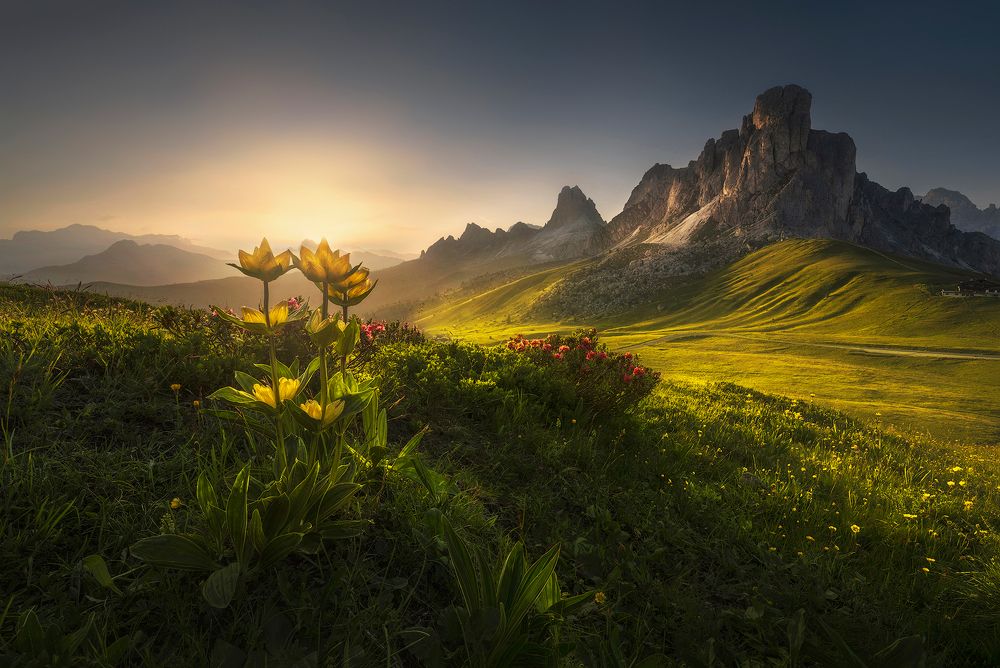 Summer in the Dolomites