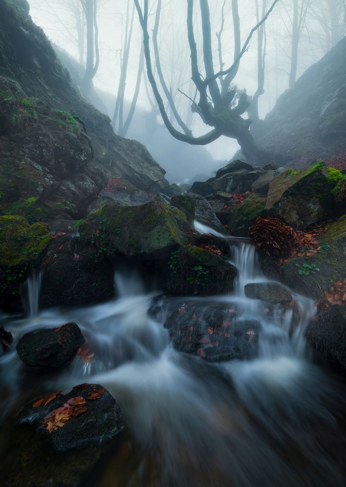 Photograph by Rubén Molina Fernández