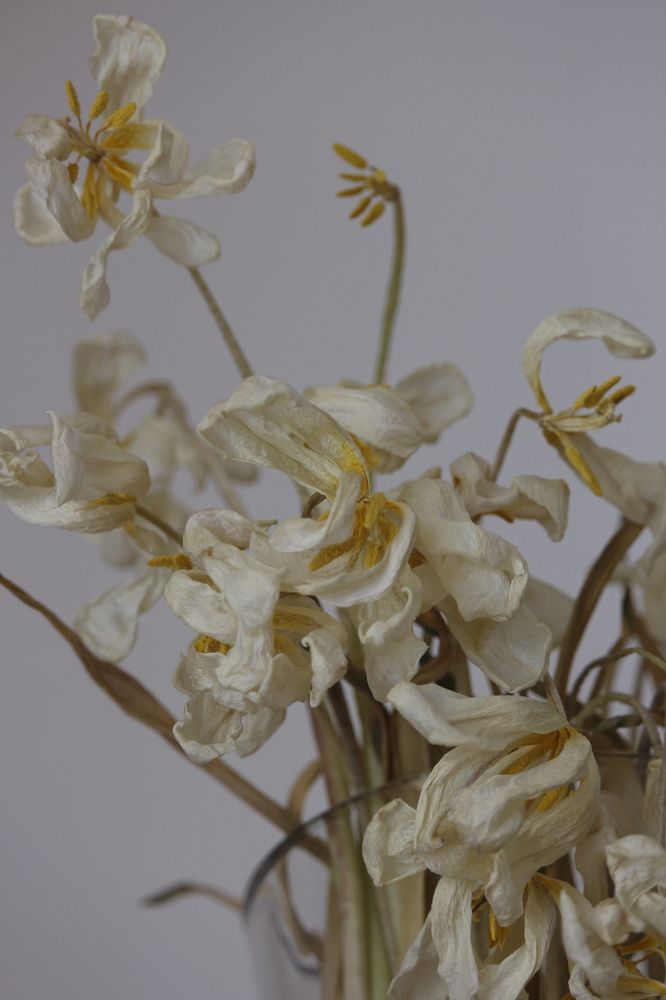 Фотография автора Olga Schneider