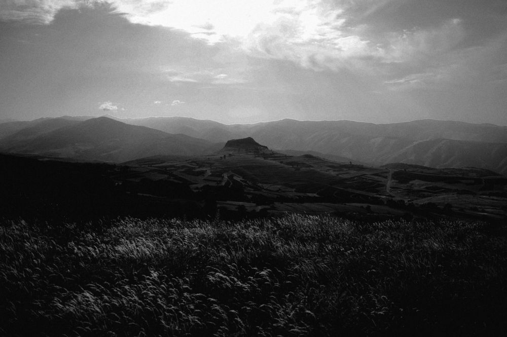 Photo #8921588