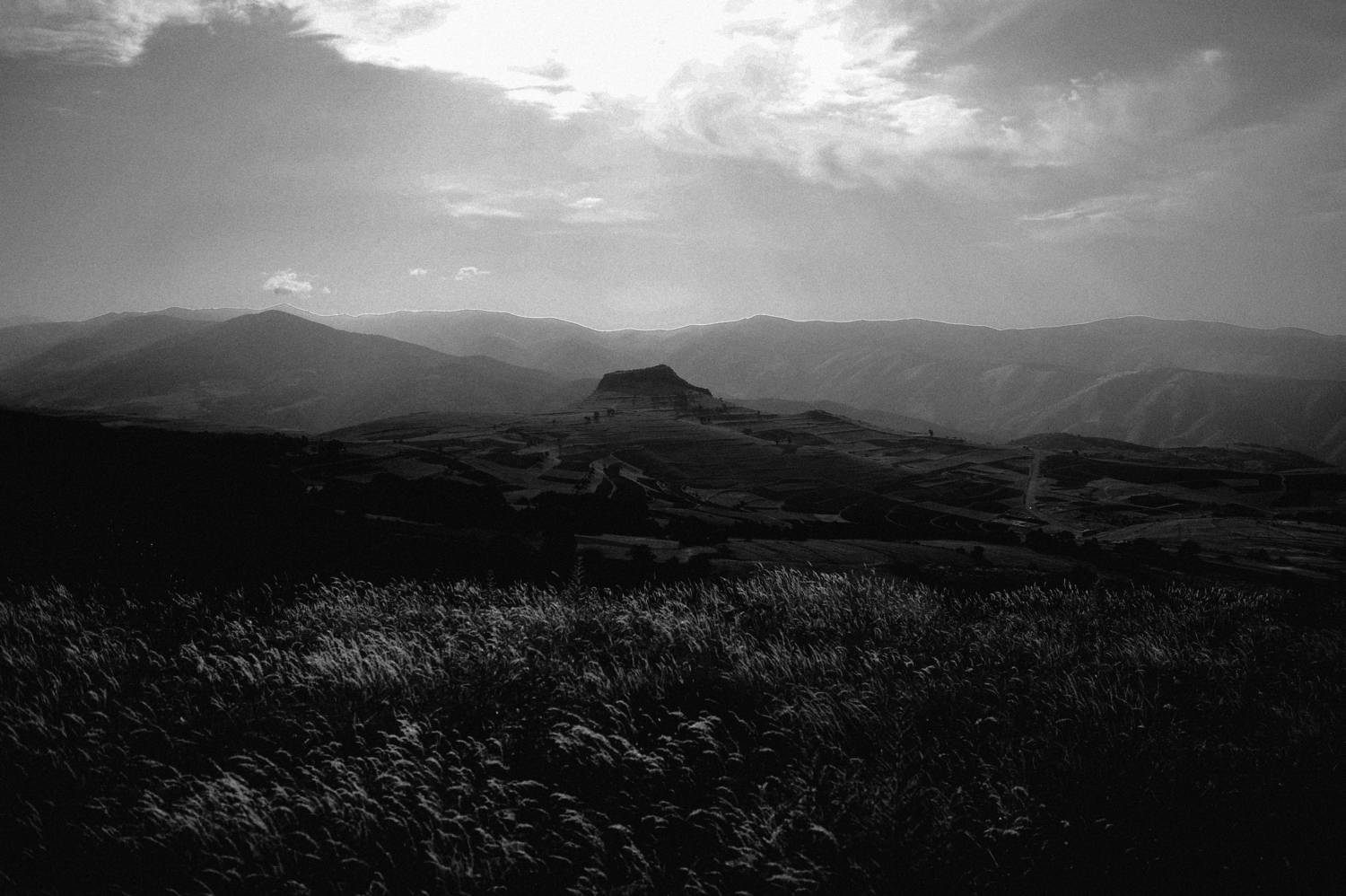 Photo #8921588