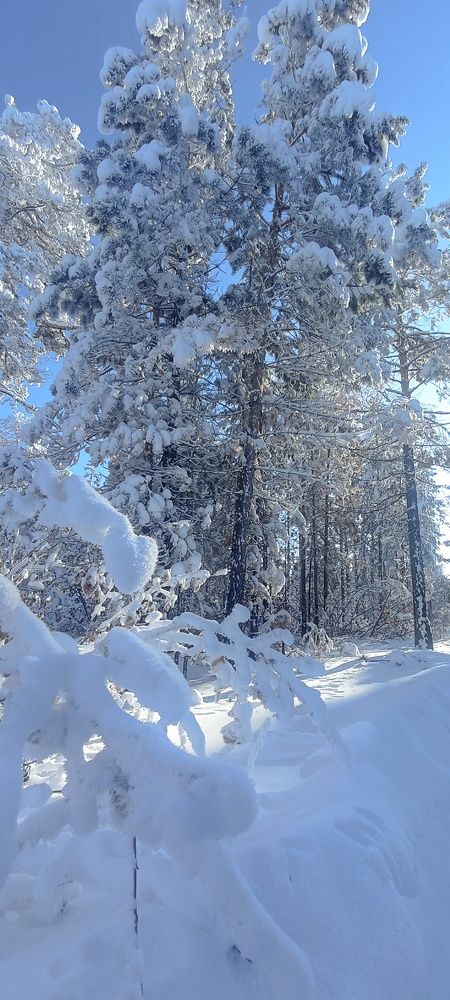 Photo #8921638